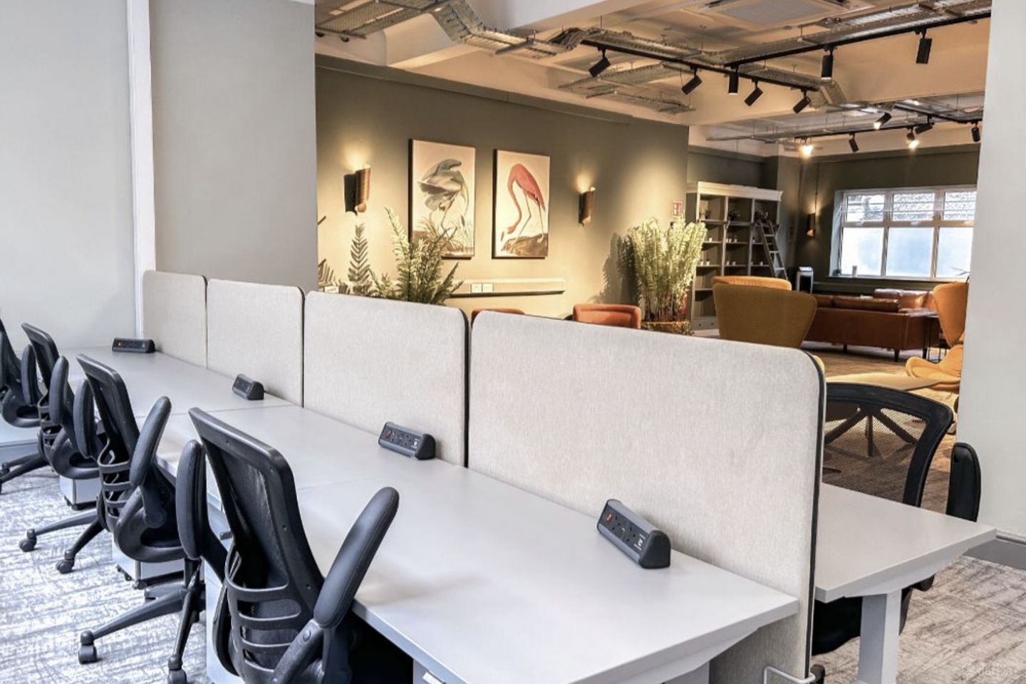 Clarendon Street, Dublin 2