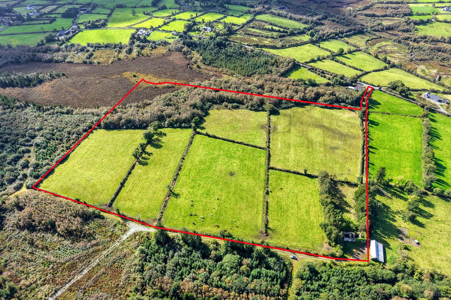 Annaghdaniel, Aughnacliffe, Co. Longford