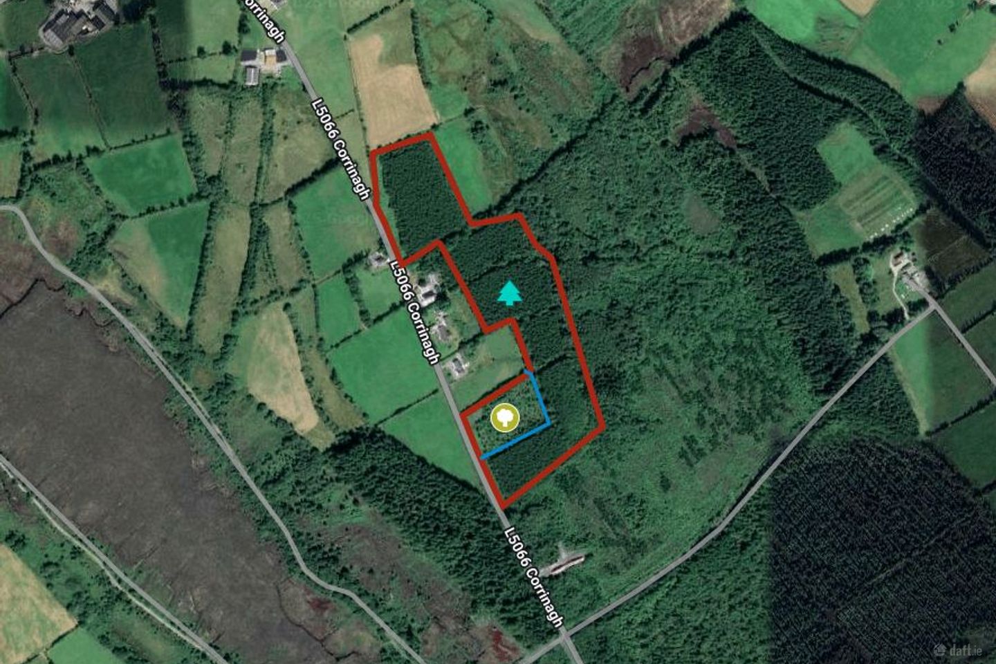 Corrinagh, Moyne, Co. Longford