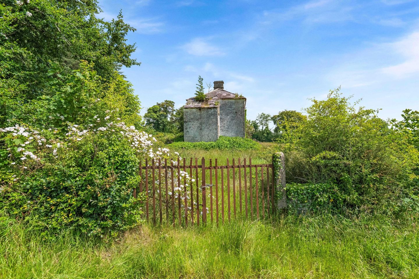 Lismagiril, Virginia, Co Cavan