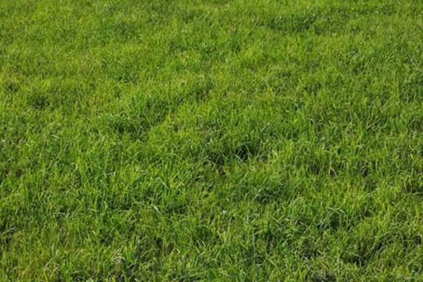 Ballincollig, Ballincollig, Co. Cork