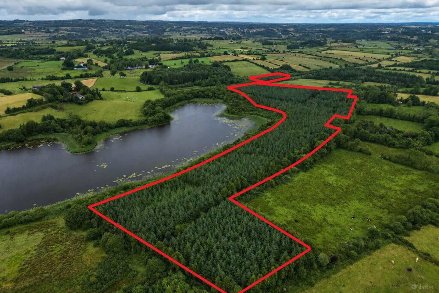 Woodfield, Kilkelly, Co. Mayo