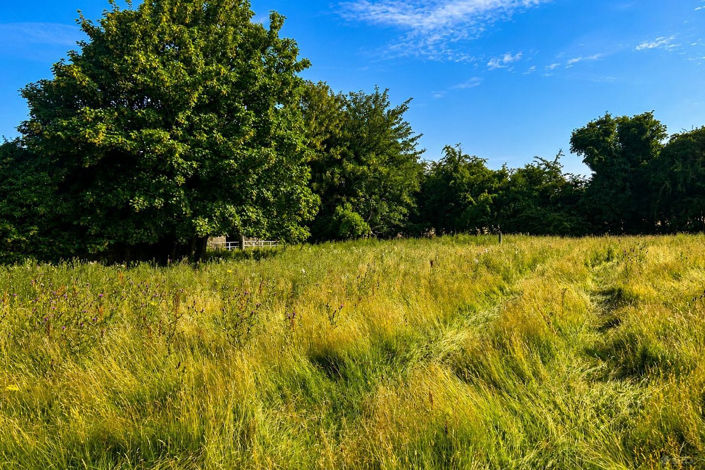 50.5 Acres, Thomastown, Kilcullen, Co. Kildare
