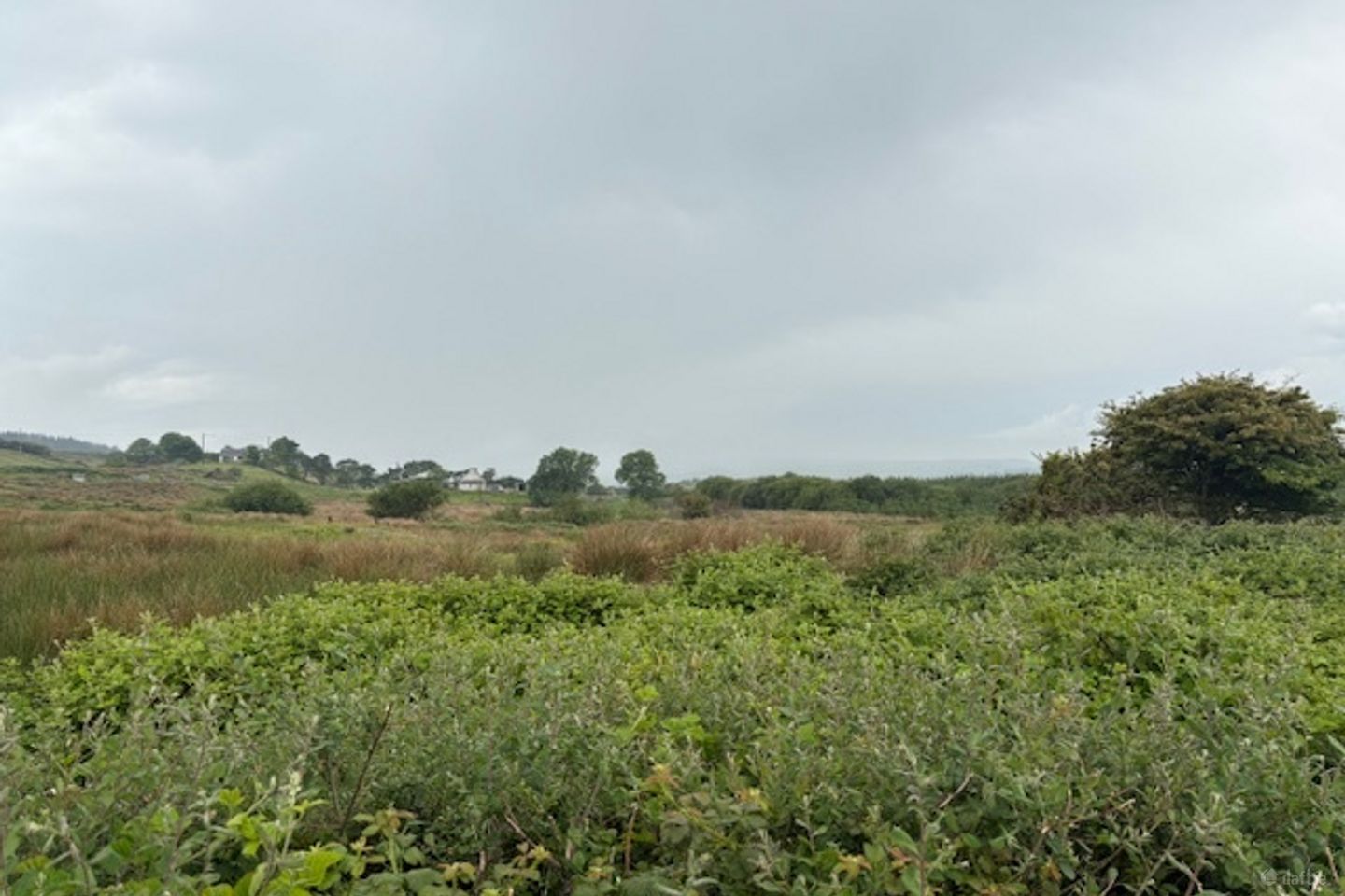 Ballybreen, Kilfenora, Kilfenora, Co. Clare, V95K0D8