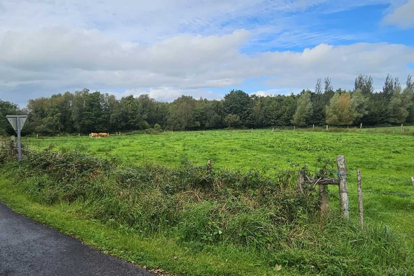 Deelcastle, Ardagh, Crossmolina, Ballina, Co. Mayo