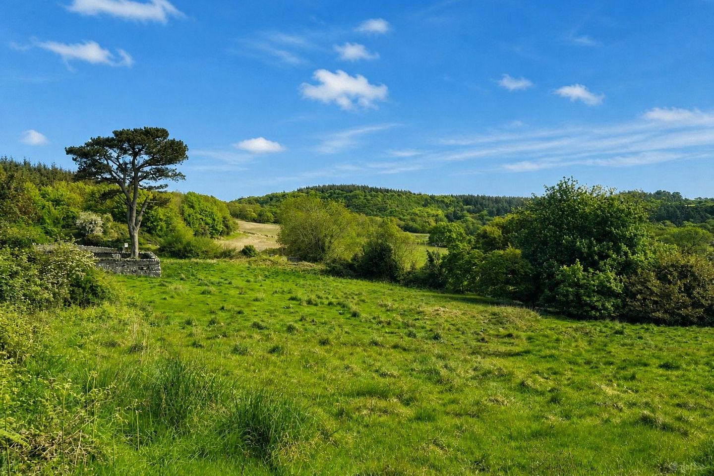 C.2 Acre of Land at Glen of the Downs, Delgany, Co. Wicklow