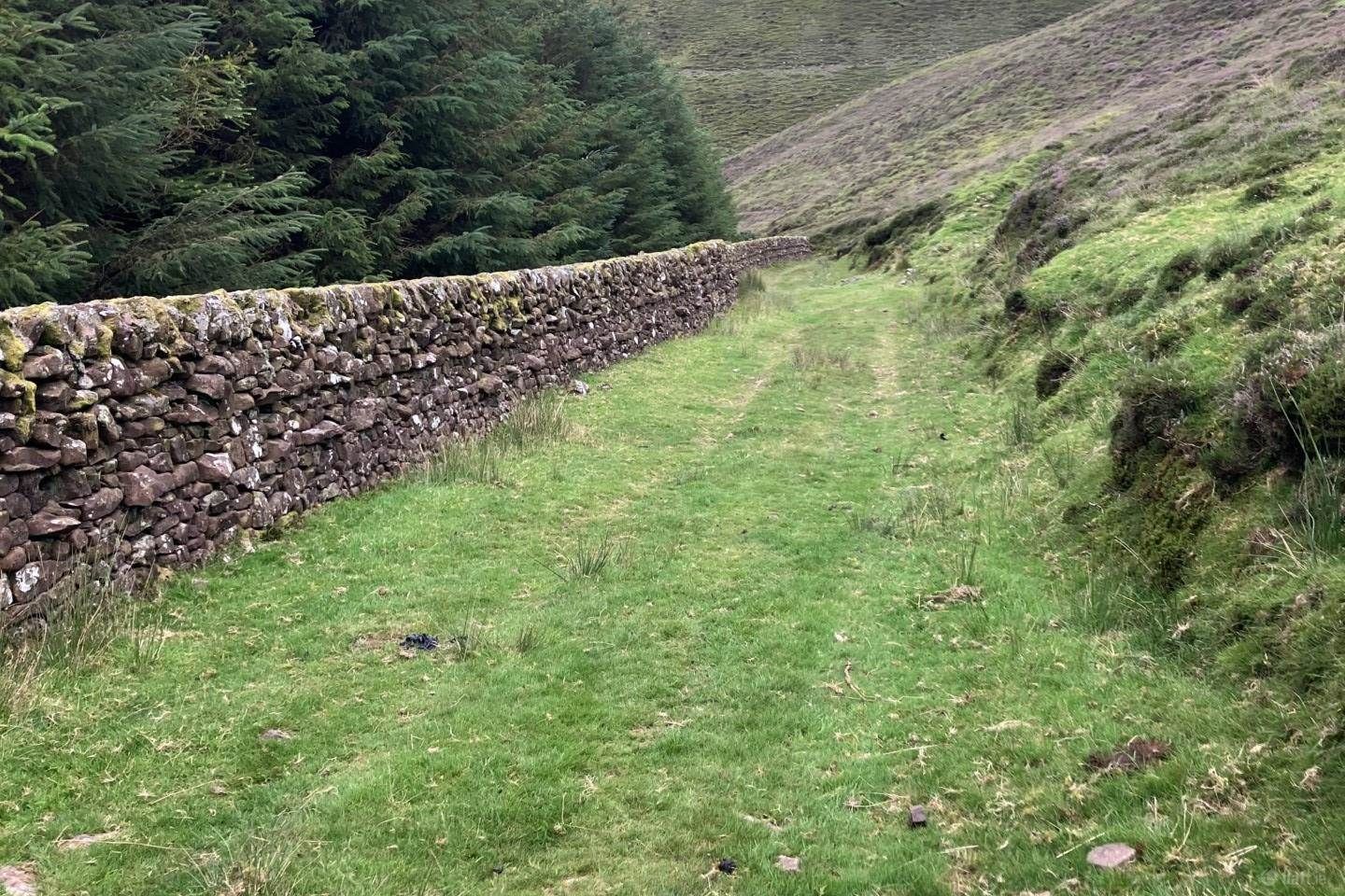 Carrigeen Mountain, Kilbehenny, Co. Limerick