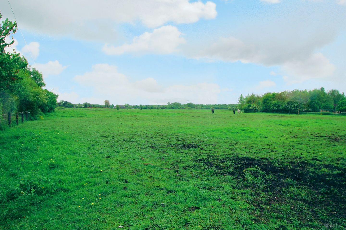 Derrycrib, Donadea, Kildare, W91VK27