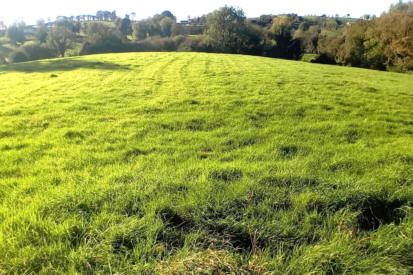 Dundian, Emyvale, Co. Monaghan