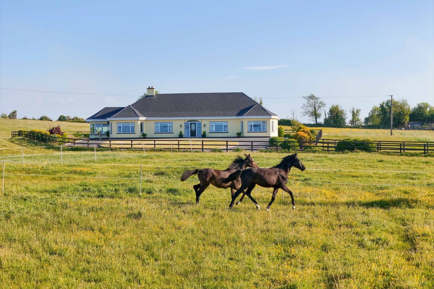 Doogary, Aghamore, Ballyhaunis, Co. Mayo, F35Y667