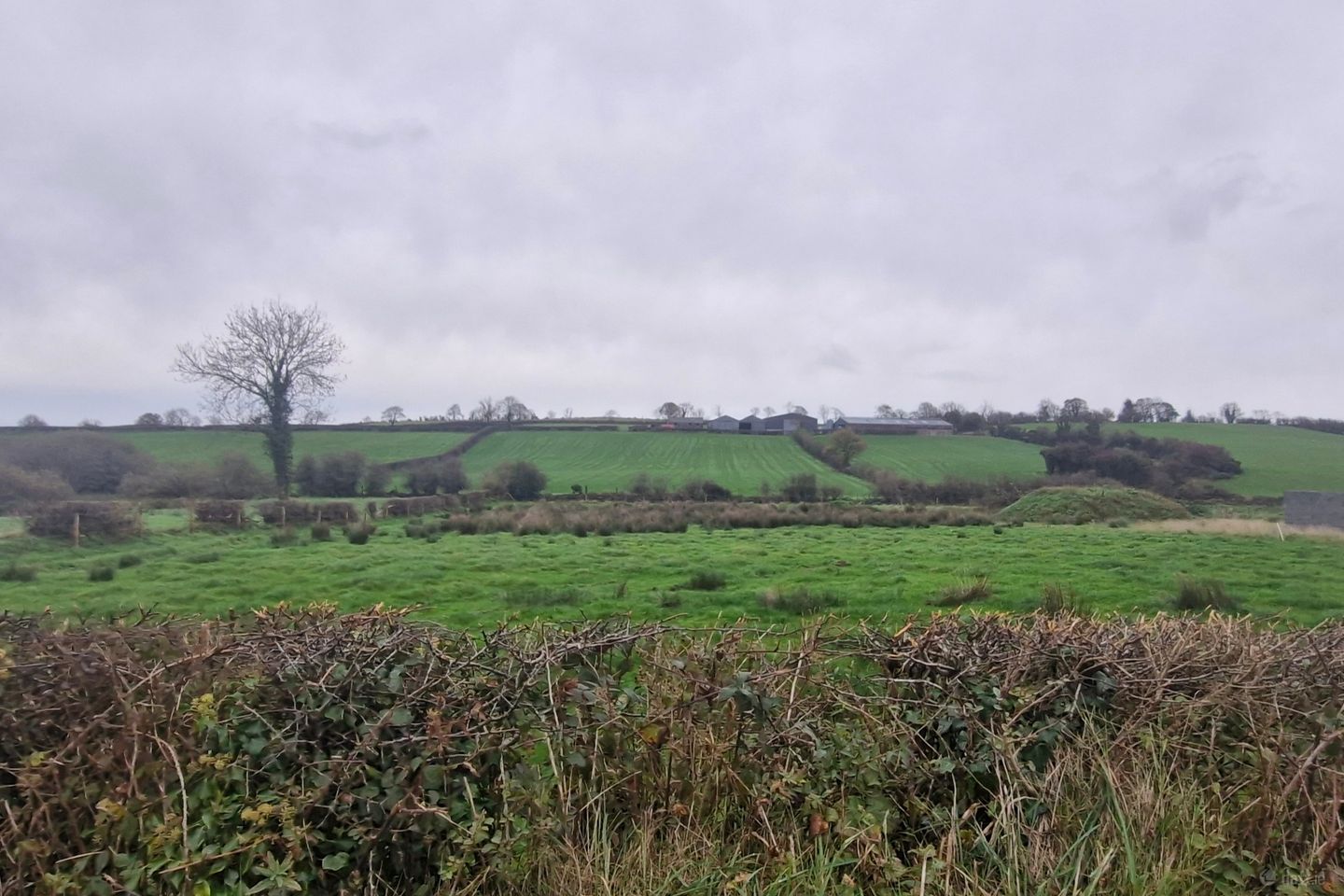 Site For Sale, Crosshugh, Ardaghy, Co. Monaghan