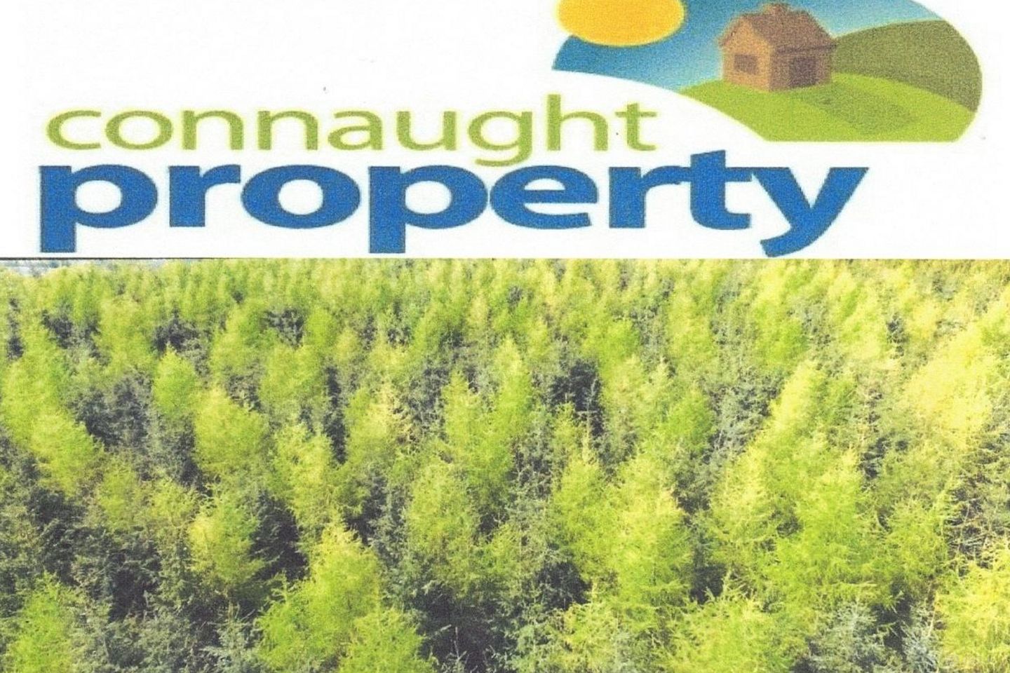 Cloonagh, Loughglynn, Co. Roscommon