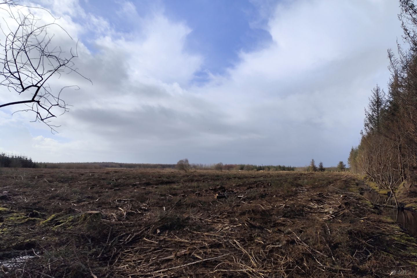 Shragh, Kilrush, Co. Clare, V15F867