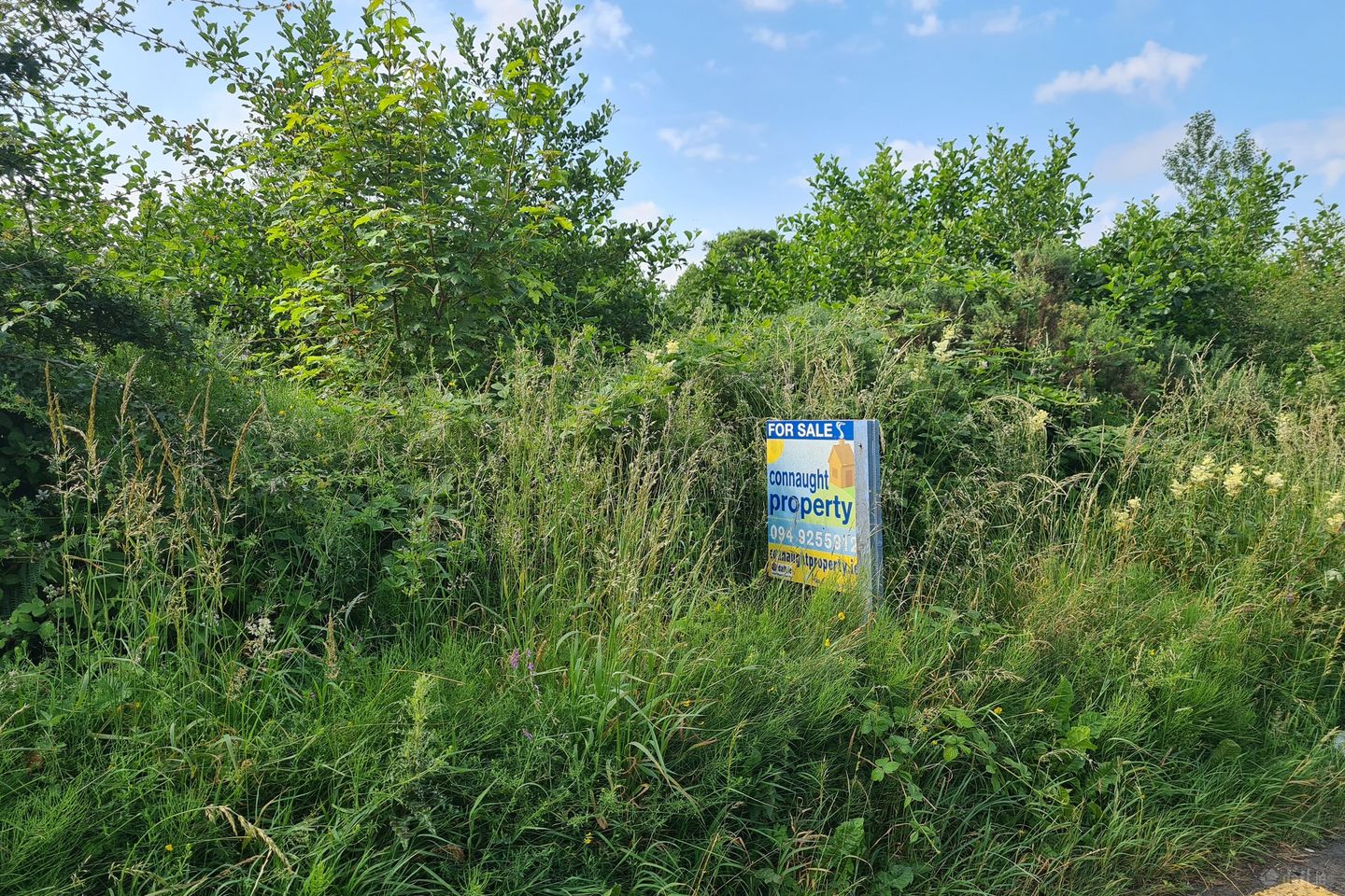 Lavey Beg, Charlestown, Co. Mayo