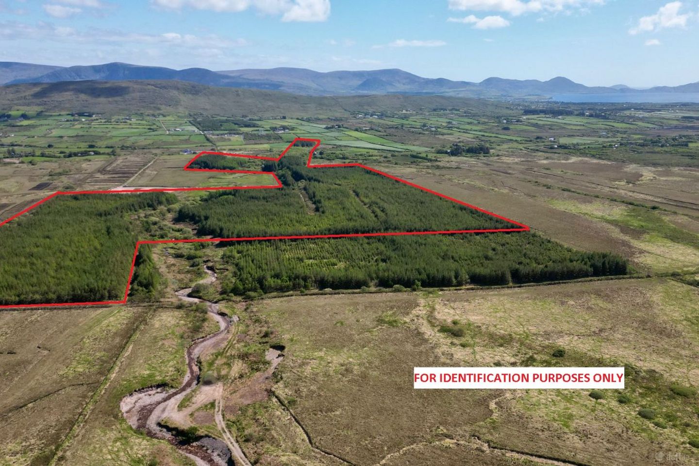 c. 81 Acres Forestry, Maulnahone, Cahersiveen, Co. Kerry