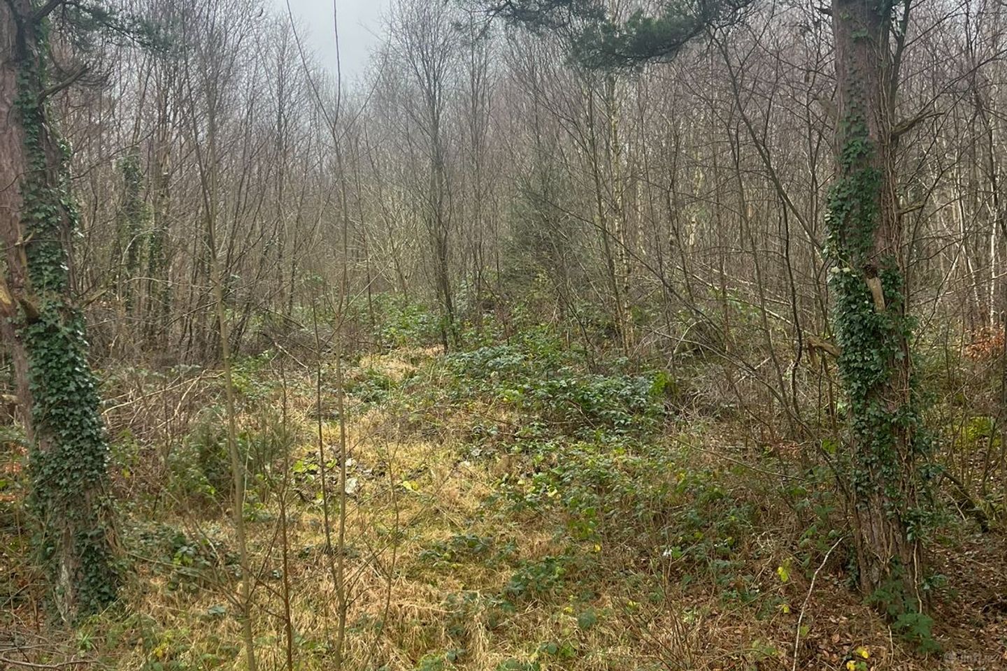 Circa 1.34 Acres, Rathernan, Connell, Kildare, Co. Kildare