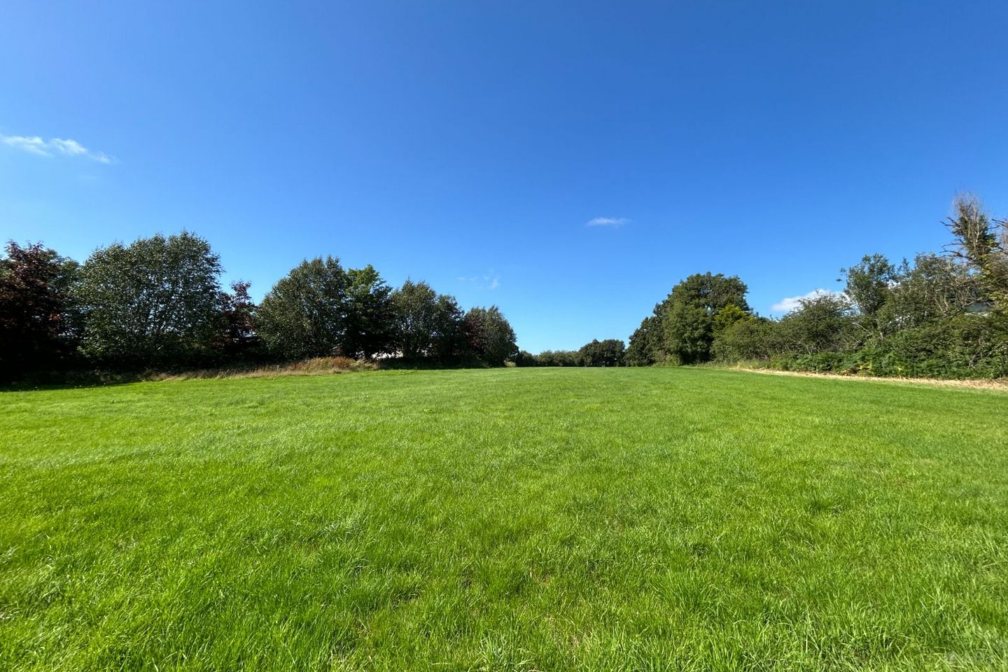 Site at Garrynatineel, Ballina, Co. Tipperary