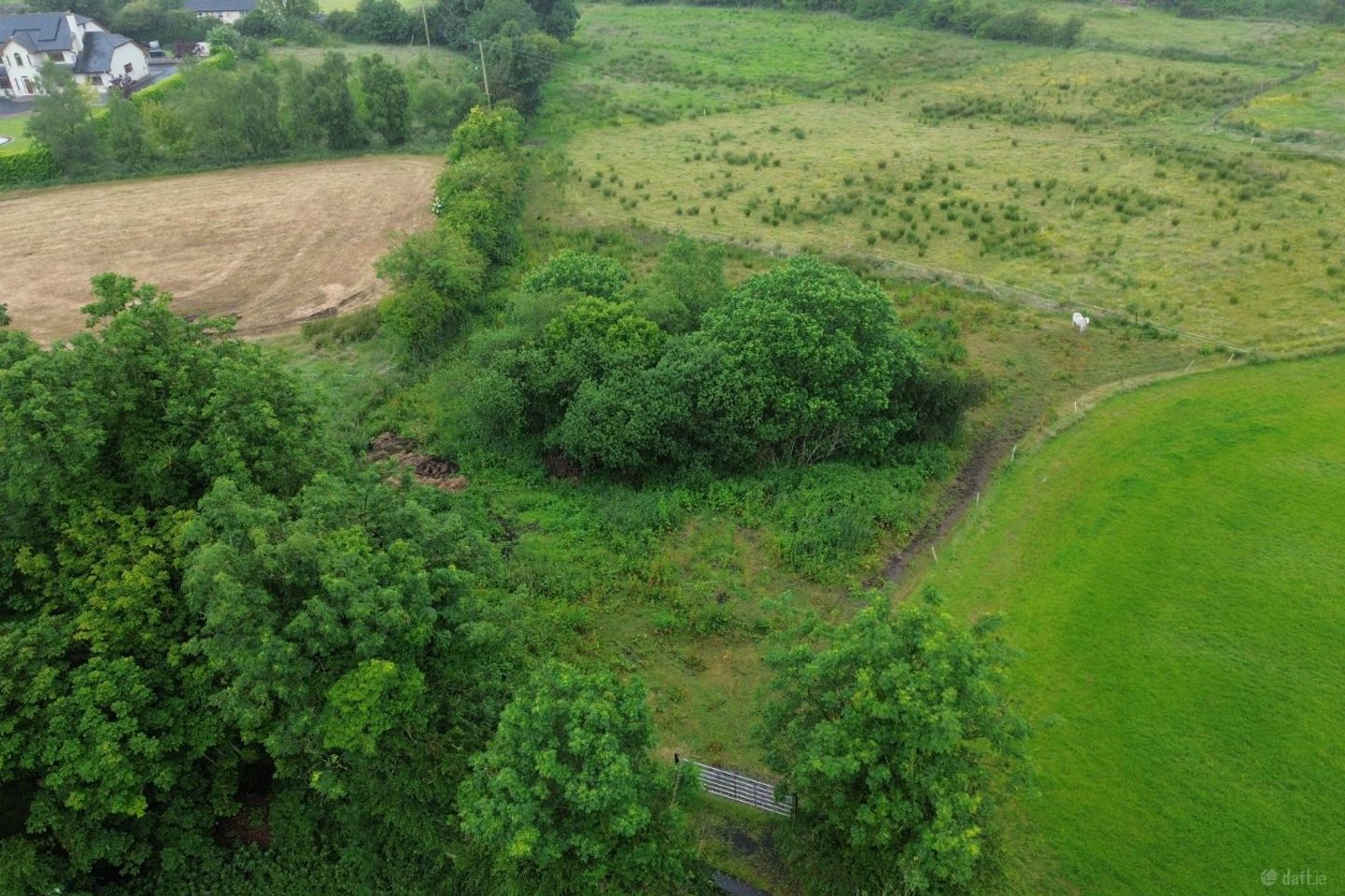 Site at Knocktemple, Behernagh, Virginia, Co. Cavan