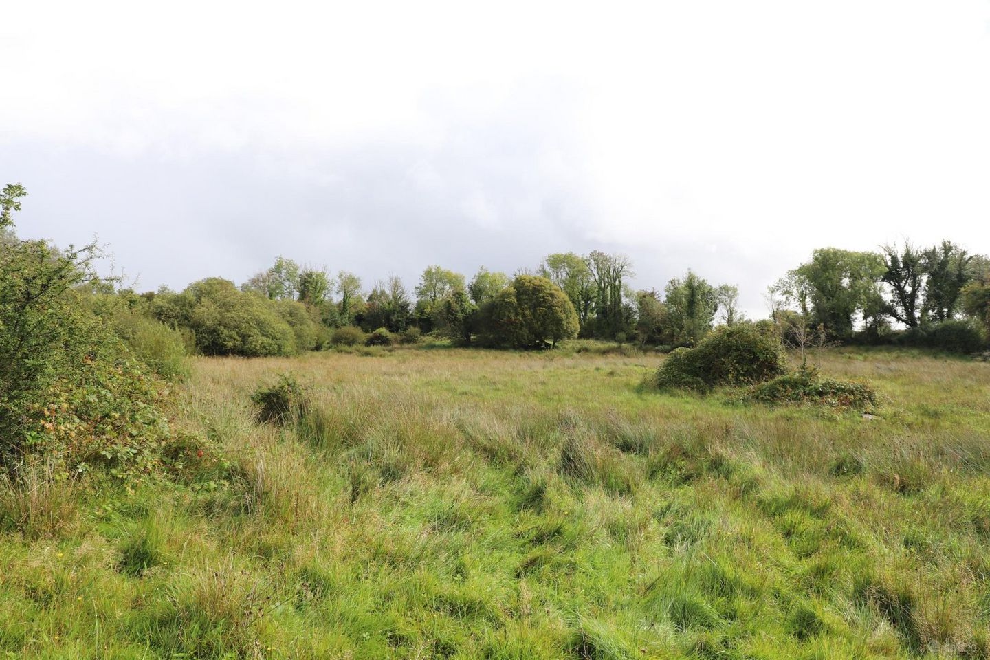 6.20 Acres, Derrycallan South, Gort, Co. Galway