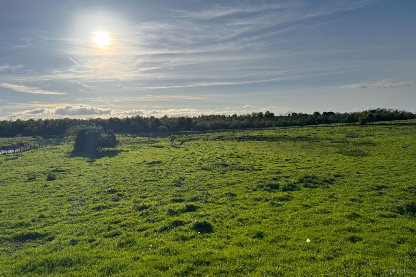 Hollymount Demense, Hollymount, Co. Mayo