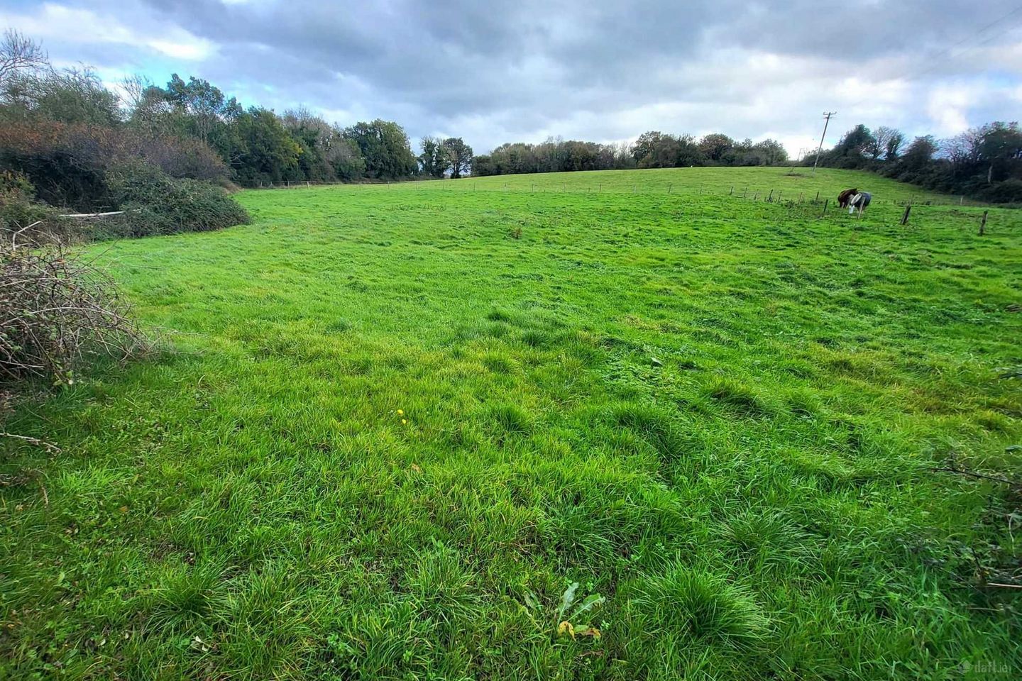 Cloonoolia South, Mountshannon, Co. Clare