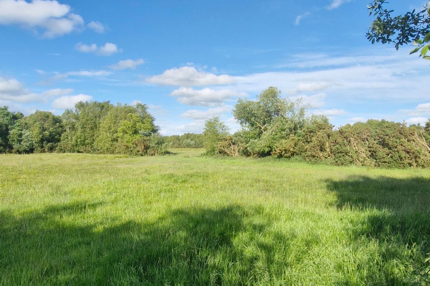 Ballyoughter  , Rathcabbin, Co. Tipperary, R42KN63