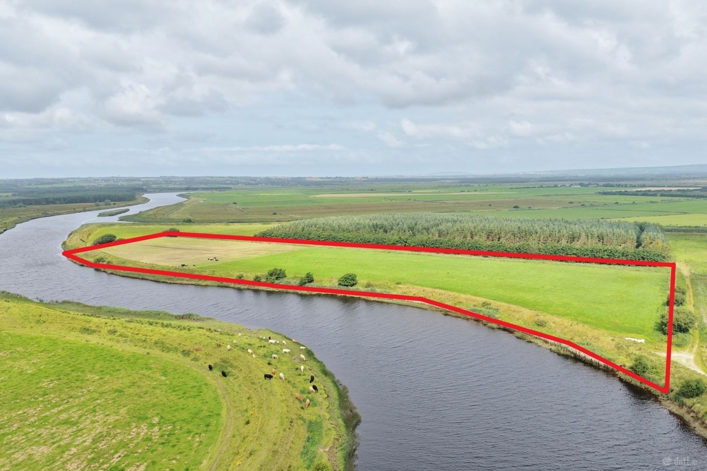 14.5 Acres at Coolagown, Listowel, Co. Kerry