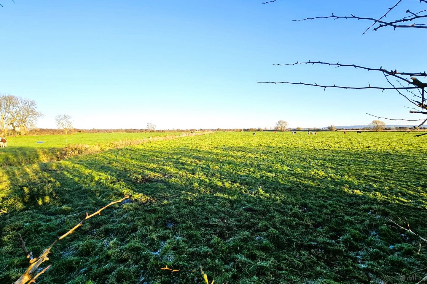 Kearntown, Drumconrath, Co. Meath