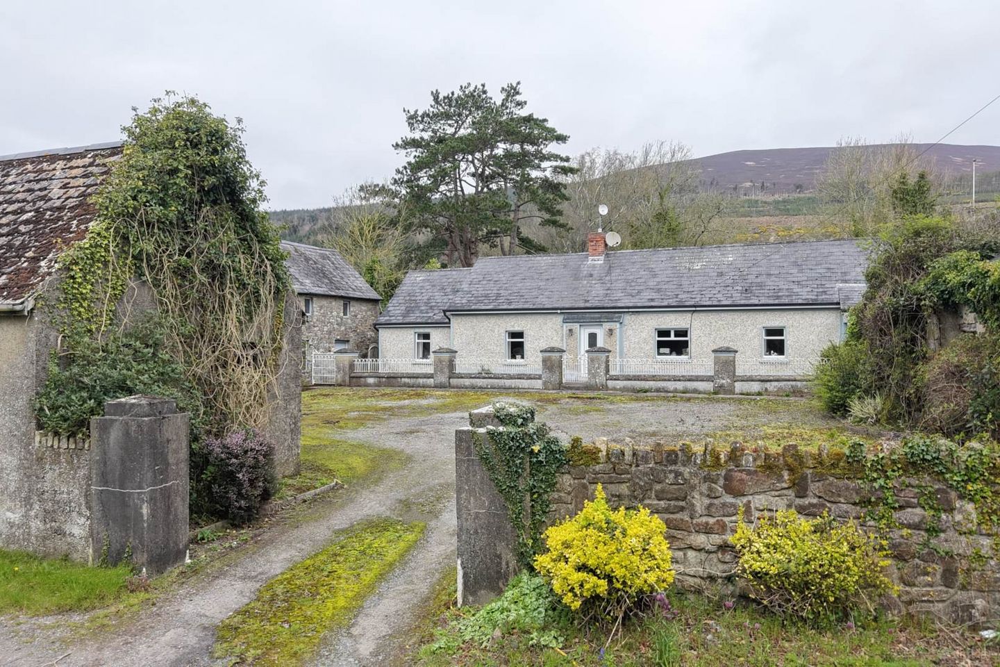 Shanbally, Ballypatrick, Clonmel, Co. Tipperary, E91EP04