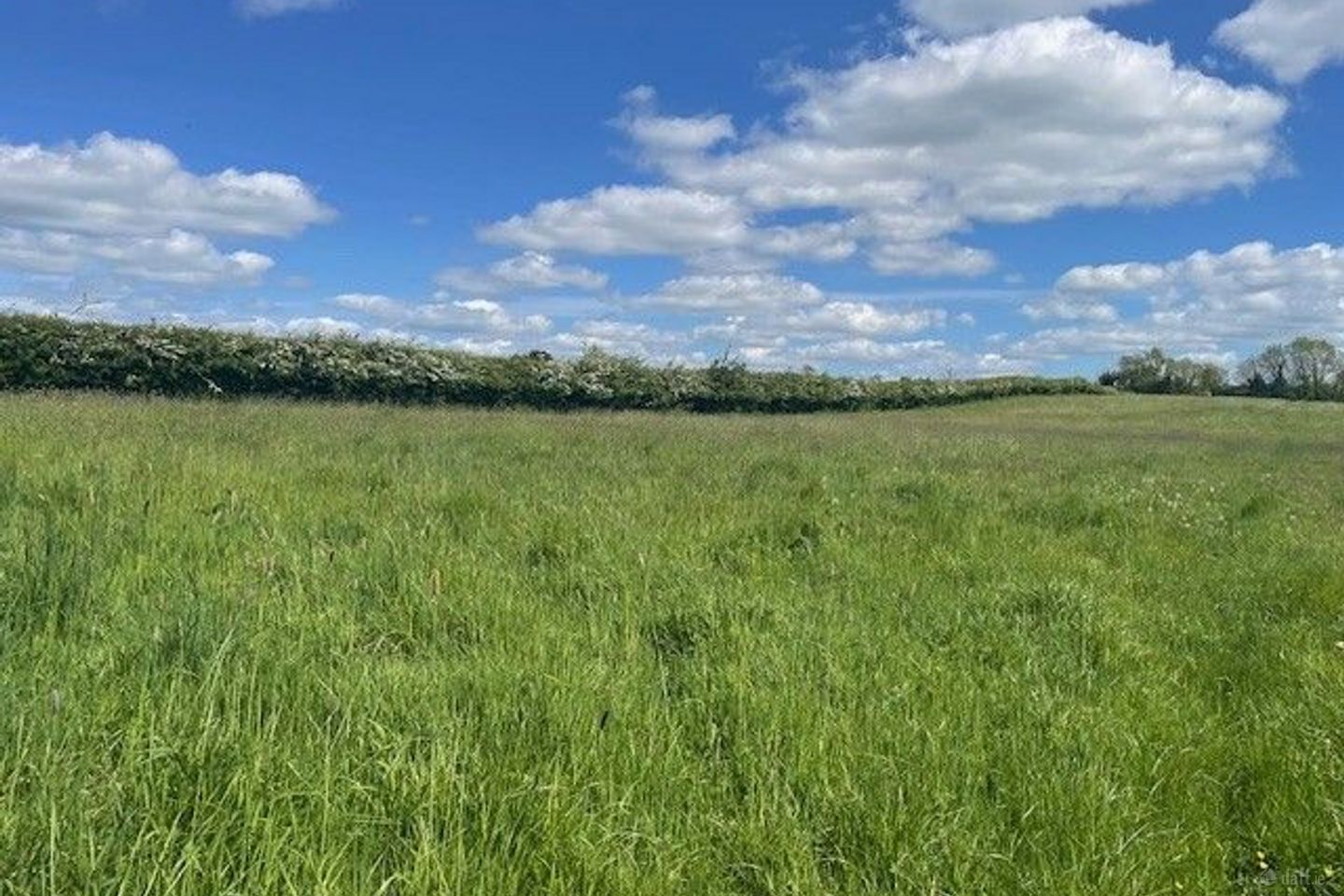 Mullaghey, Kells, Co. Meath