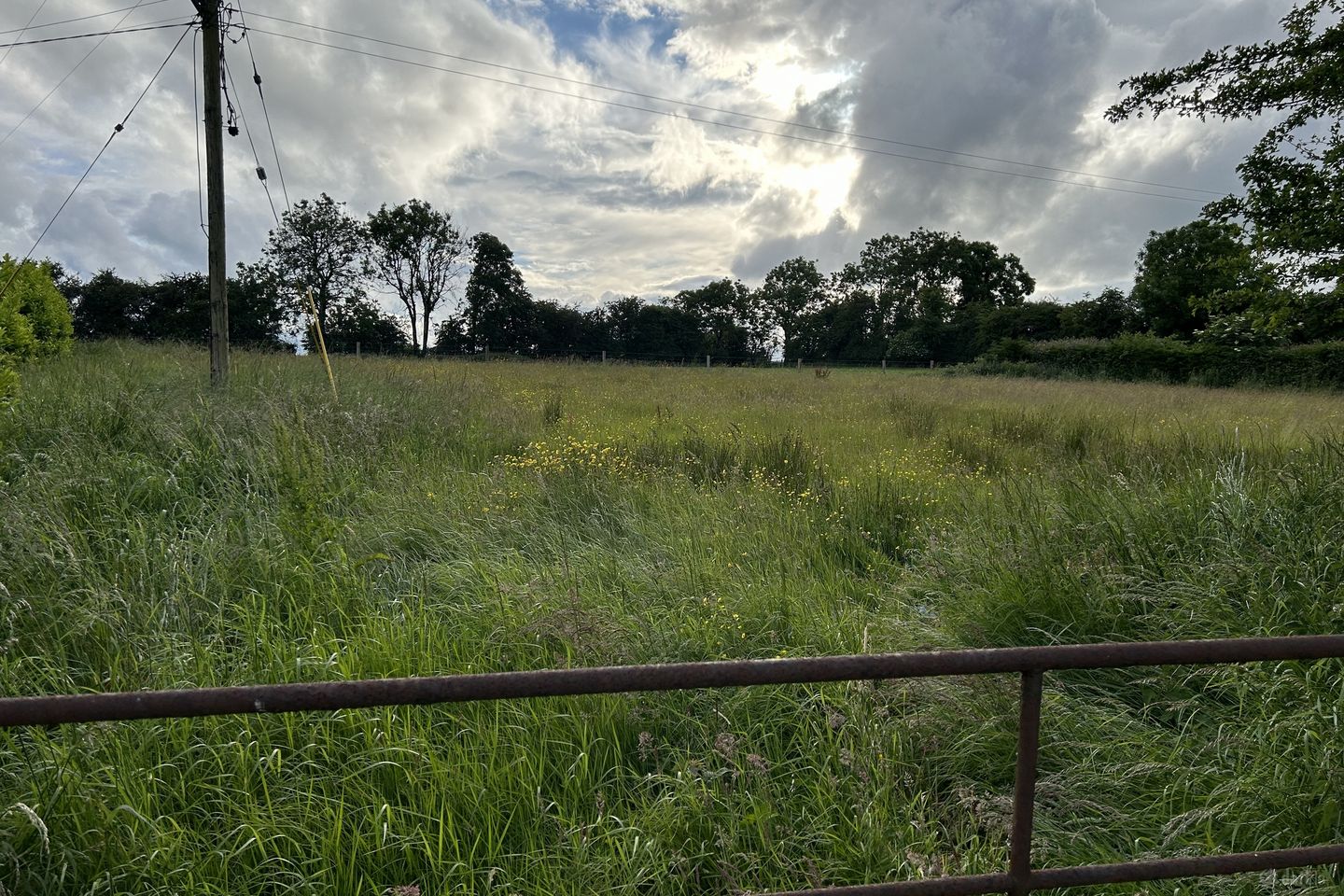 Caldramore, Athlone Road, N39Y9N2