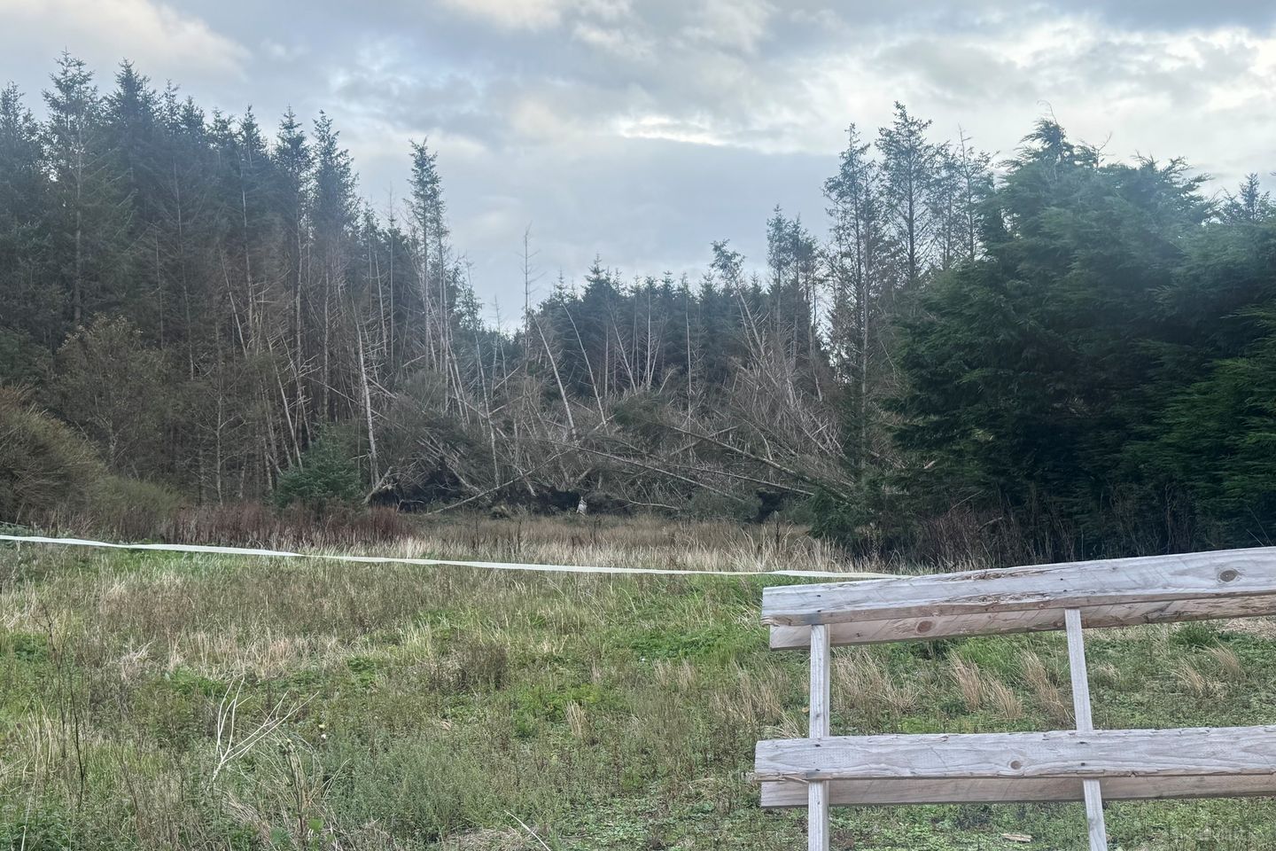 Ballytarsna, Kilshanny, Co. Clare, V95AEH5