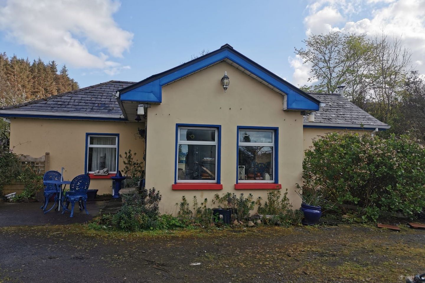 Triskell Flower Farm, Cloonagh, Dromard, Co. Sligo, F91HY40