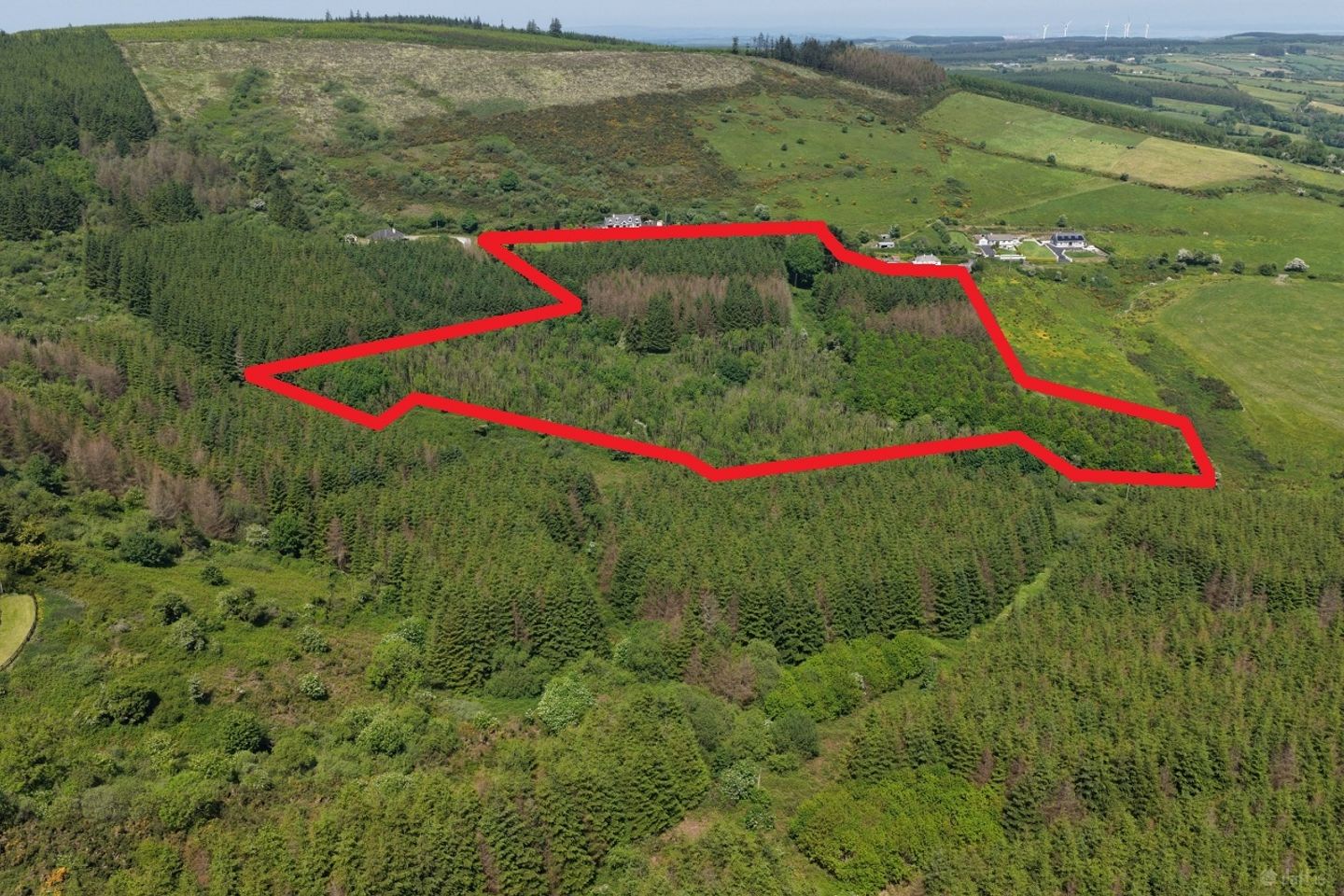 Ballyine, Carrigkerry, Athea, Co. Limerick