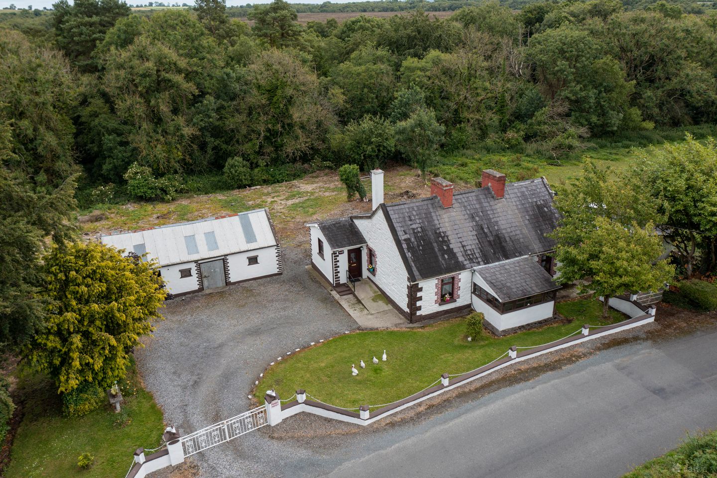 Haggard, Carbury, Co. Kildare, W91Y7R6