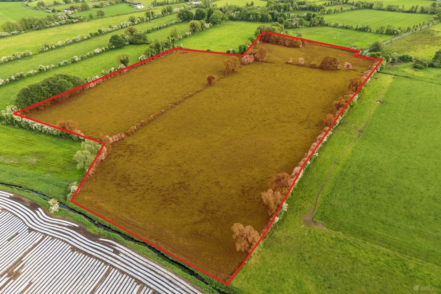 Correaly, Streete, Co. Westmeath