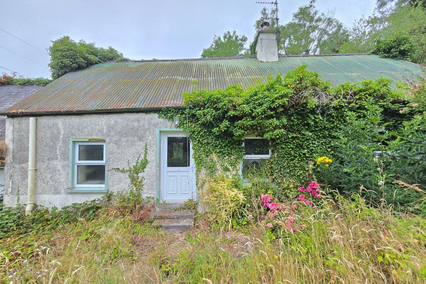 Blakefield, Toomevara, Nenagh, Co. Tipperary, E45YK20