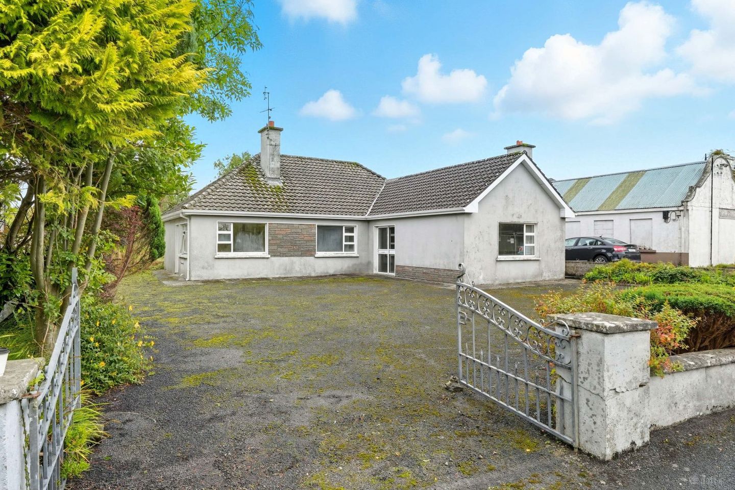 Wojtyla, Carrowmore, Knock, Knock, Co. Mayo, F12FH04