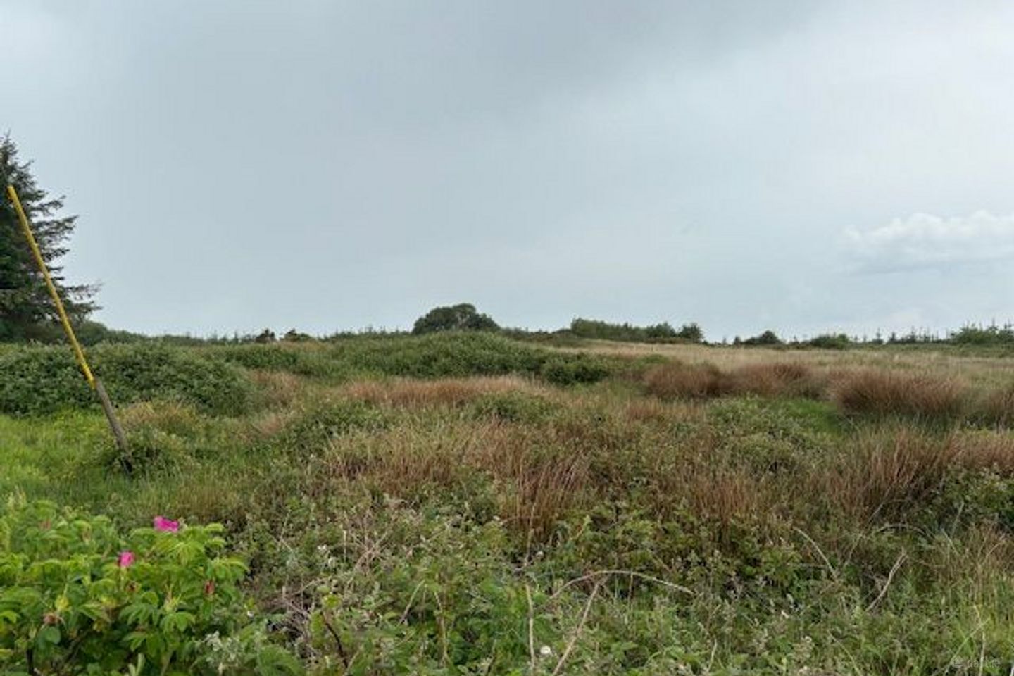 Ballybreen, Kilfenora, Kilfenora, Co. Clare, V95K0D8