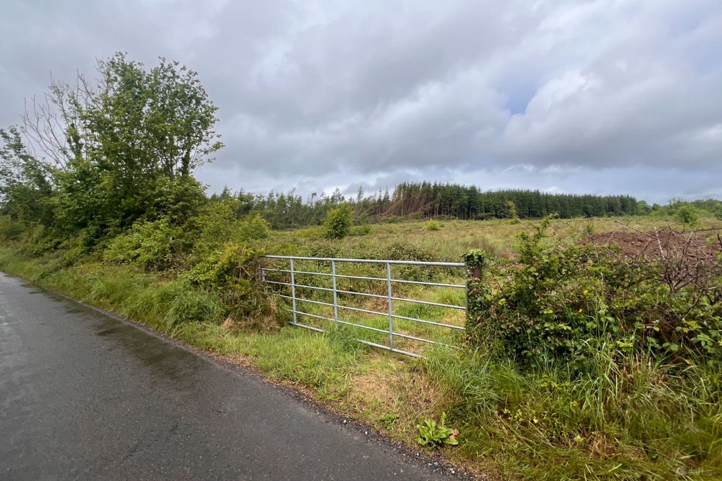Site at Clonshee, Ahascragh, Ballinasloe, Co. Galway, H53Y2E4