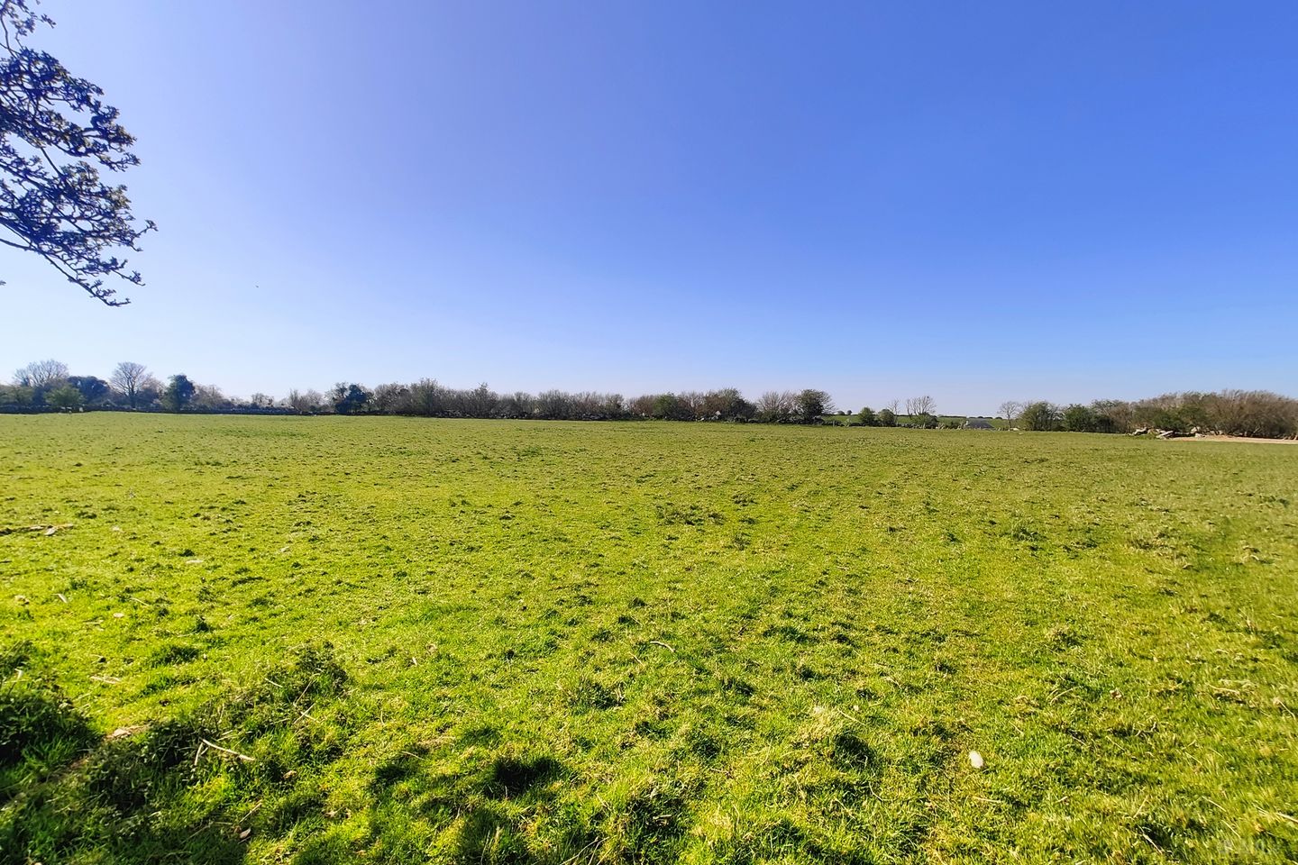 Carrownalecka, Ballyglass Road, Ballinrobe, Co. Mayo