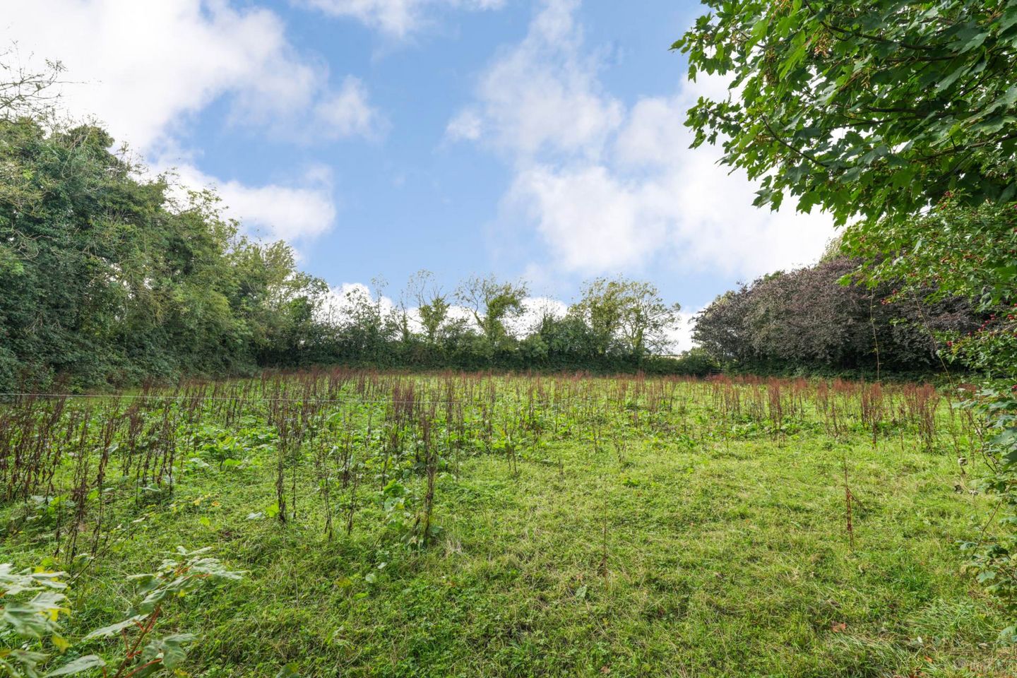 Colvinstown, Tara, Co. Meath, C15HF62