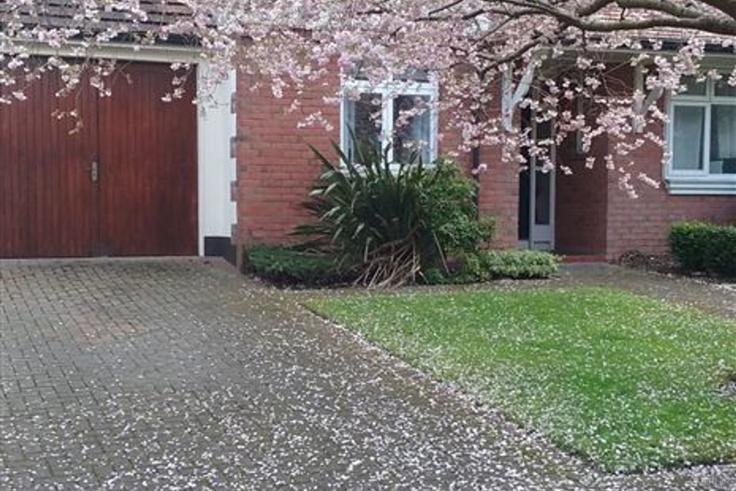 A Large House in Saint Helens Wood , Booterstown , DublinA94NW21, Stillorgan, Co. Dublin