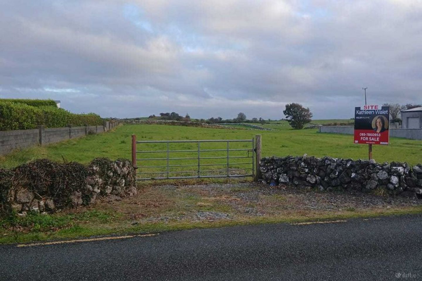 Costellospark, Monivea, Co. Galway, H65A328