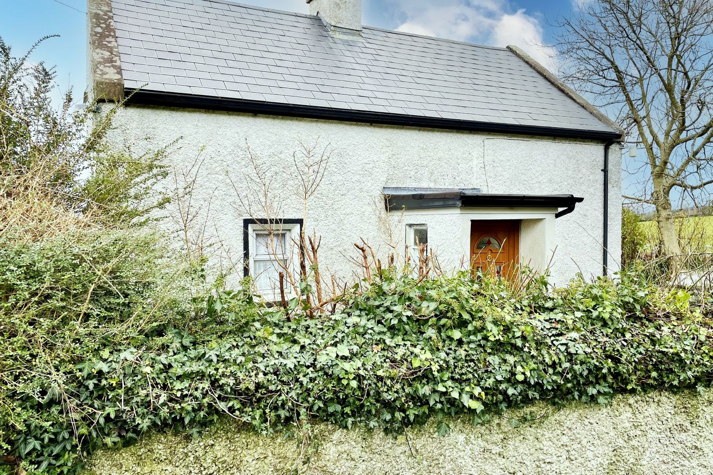 Marley, Graiguenamanagh, Co. Carlow, R95T2W4