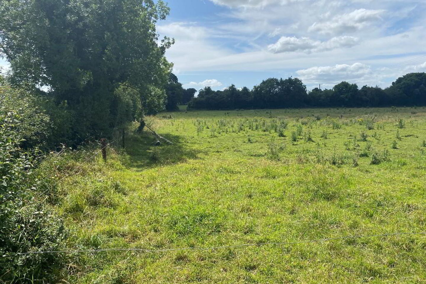 Charleville, Ardee, Co. Louth