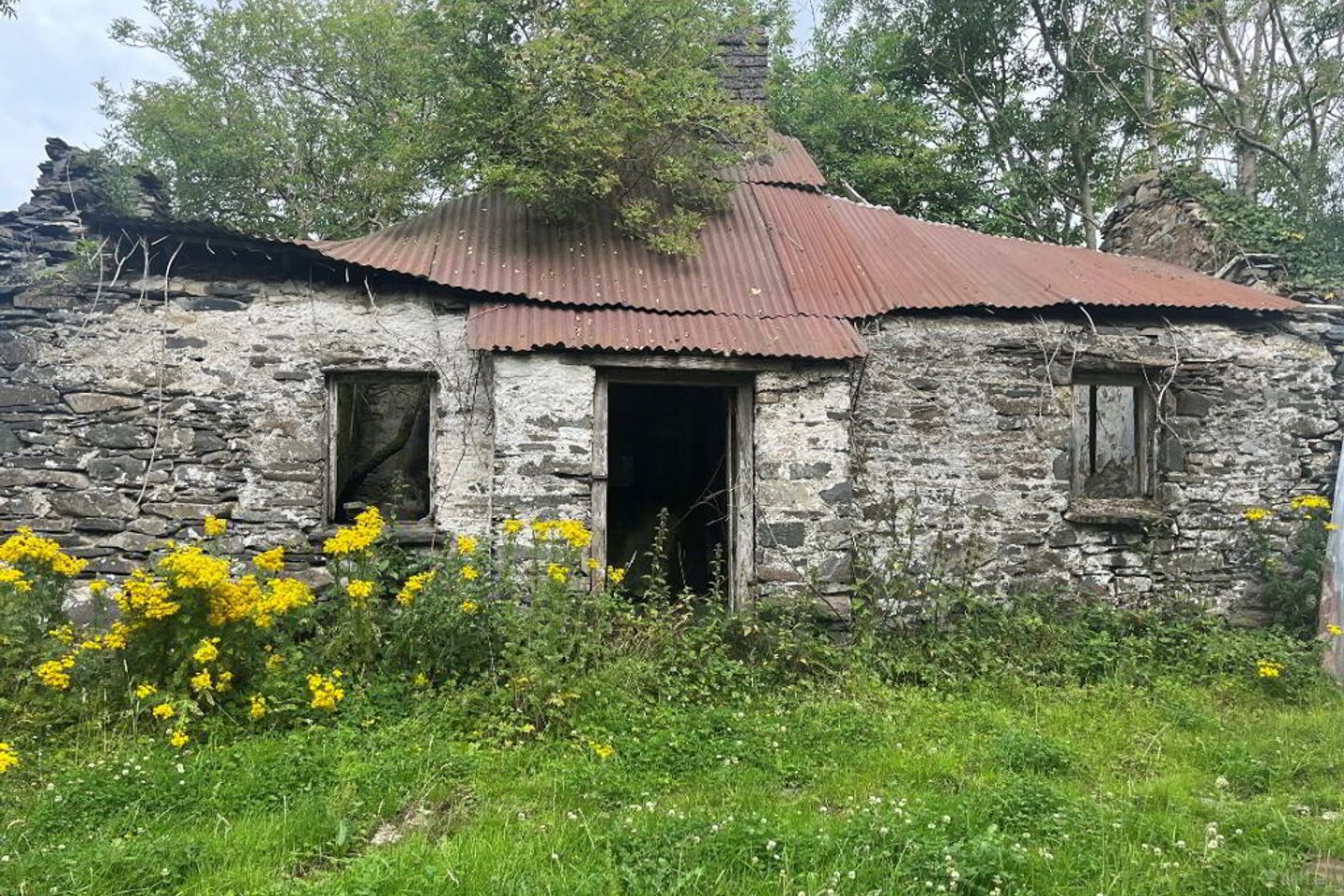 Derelict Cottage On 8 Acres, Raferagh, Carrickmacross, Co. Monaghan