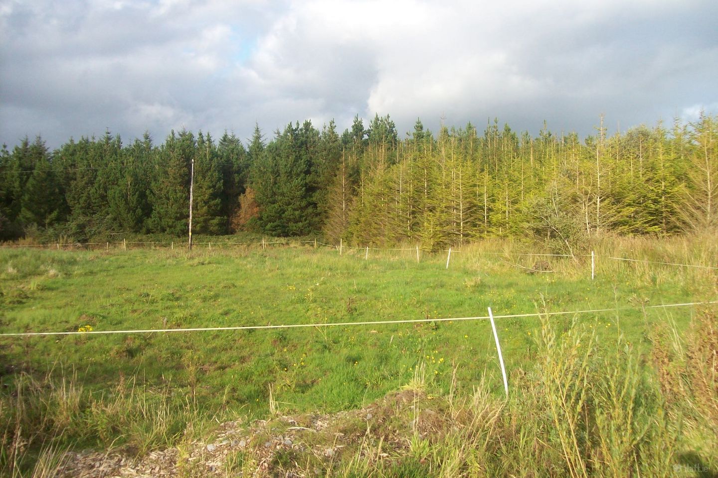 Ballinphuill, Claremorris, Co. Mayo