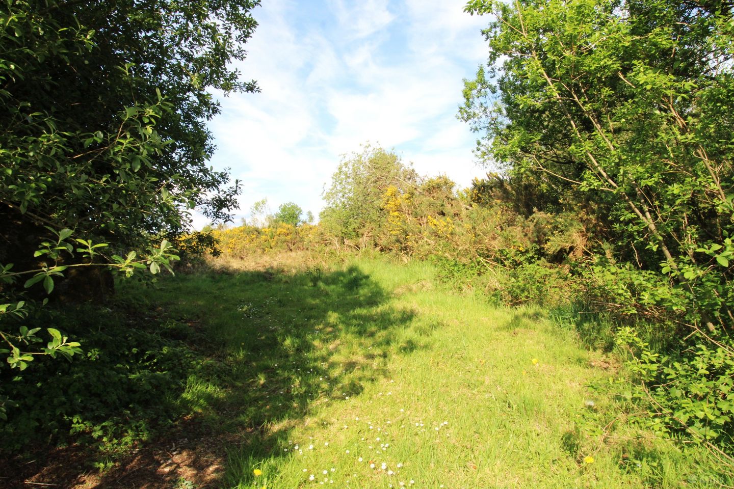 Currinara, Foxford, Co. Mayo