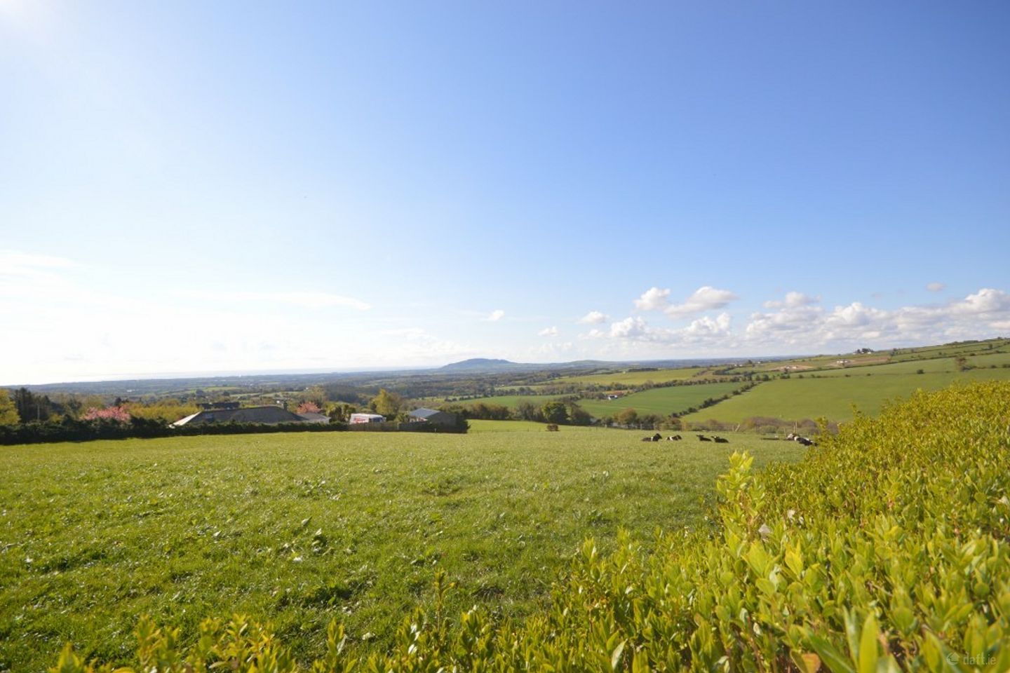Moneyribbon, Coolgreany, Co. Wexford